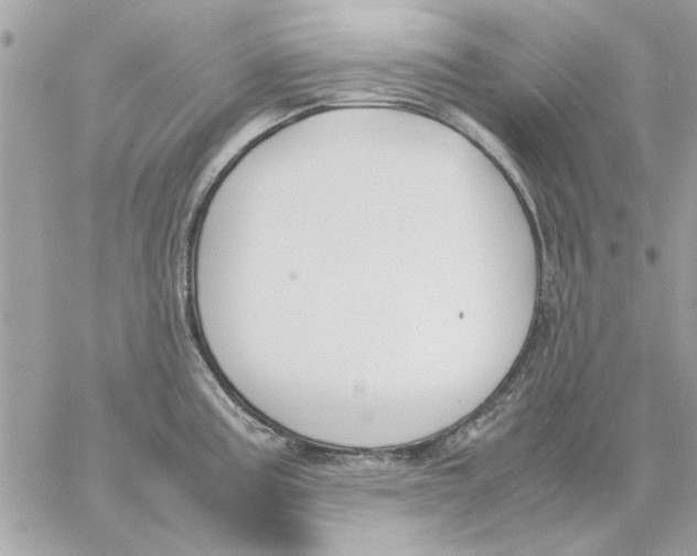 X0000057081195200510071837