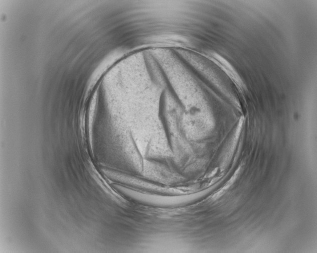 X0000057081196200510071837