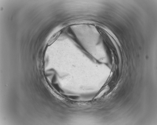 X0000057081197200510071837