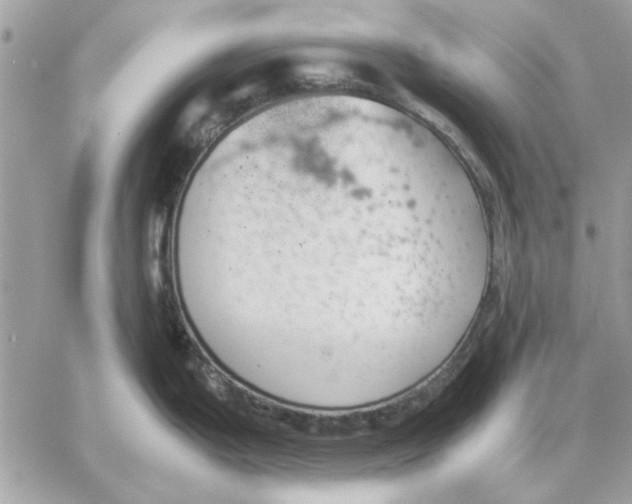 X0000057081199200510071837