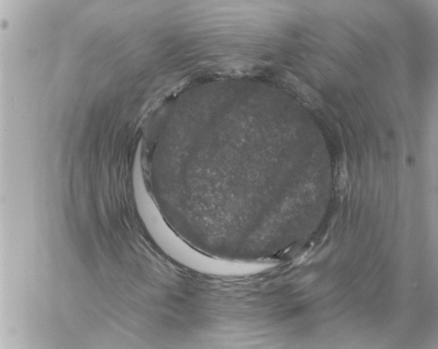 X0000057081202200510071836