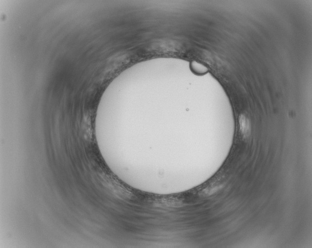 X0000057081203200510071836