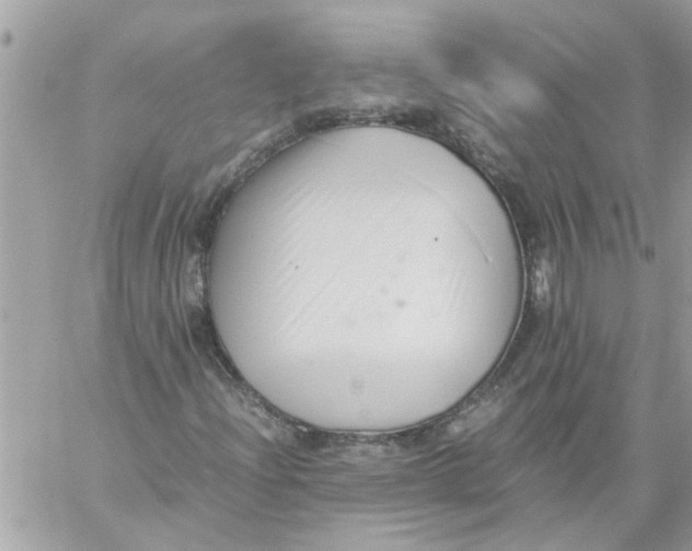 X0000057081204200510071836