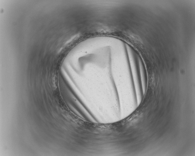 X0000057081205200510071836