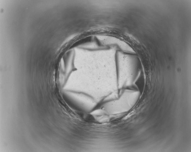 X0000057081206200510071836