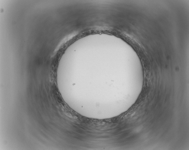 X0000057081207200510071836