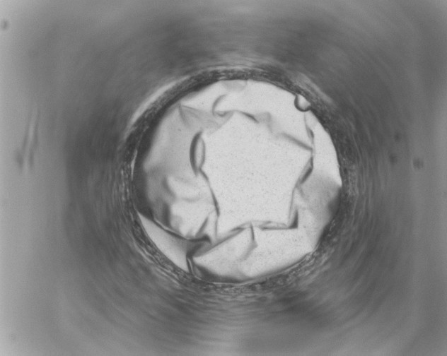 X0000057081208200510071836