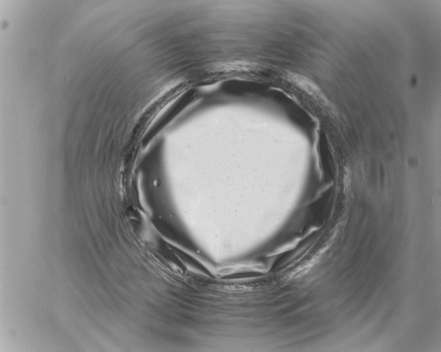 X0000057081209200510071836