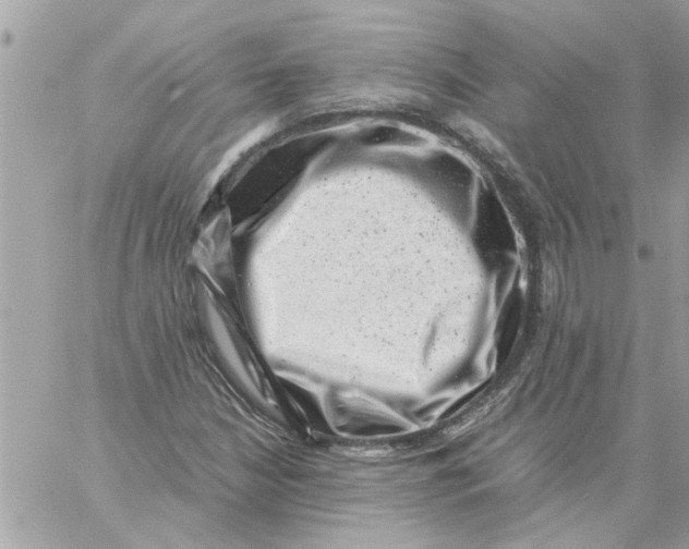 X0000057081210200510071836