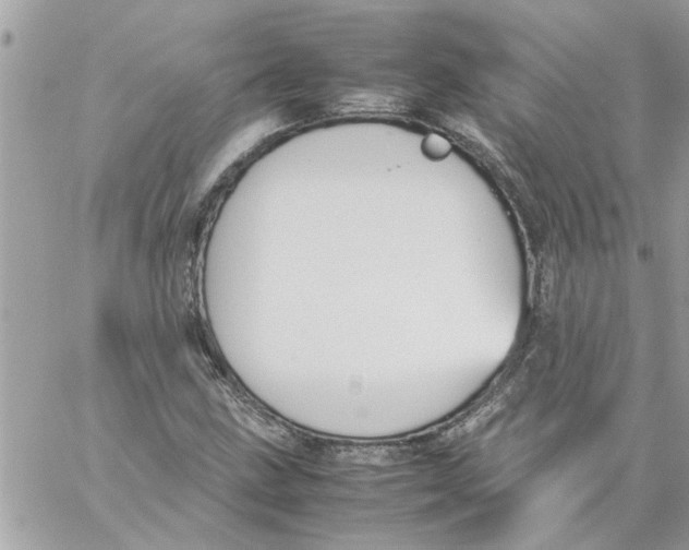 X0000057081211200510071836