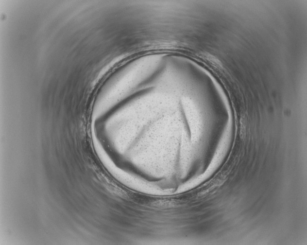 X0000057081212200510071836