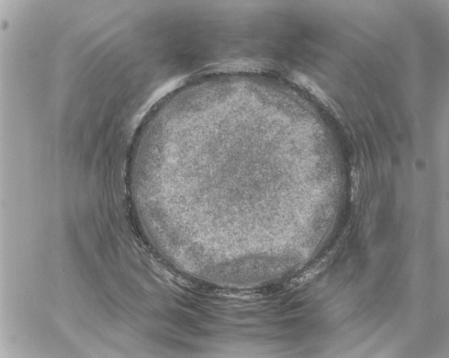 X0000057081213200510071836