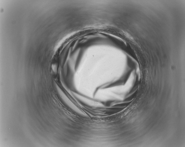 X0000057081214200510071836