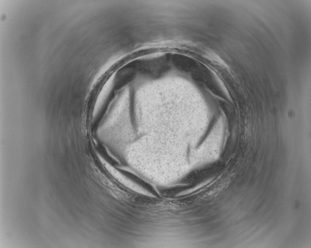 X0000057081216200510071836