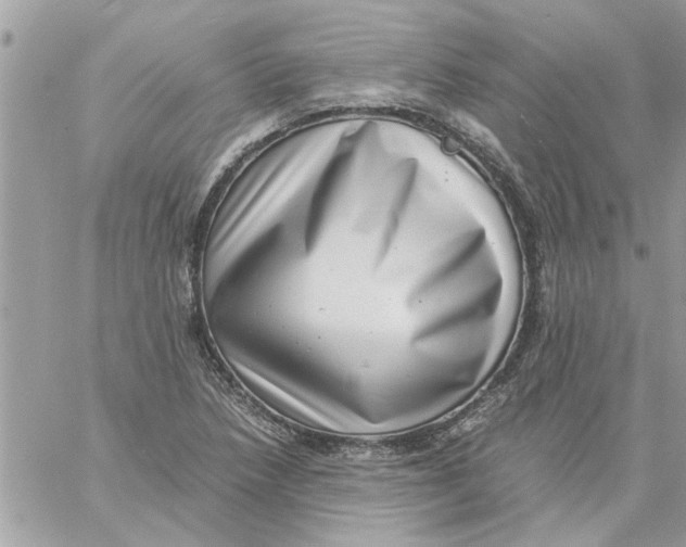 X0000057081218200510071836