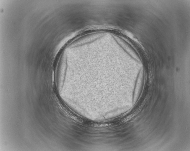 X0000057081221200510071837