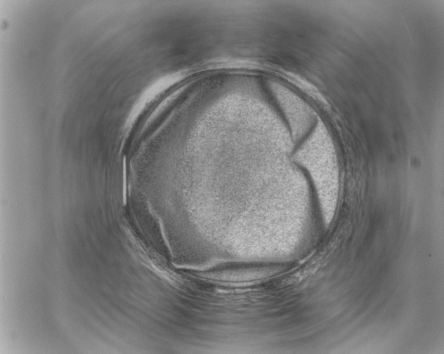 X0000057081223200510071837