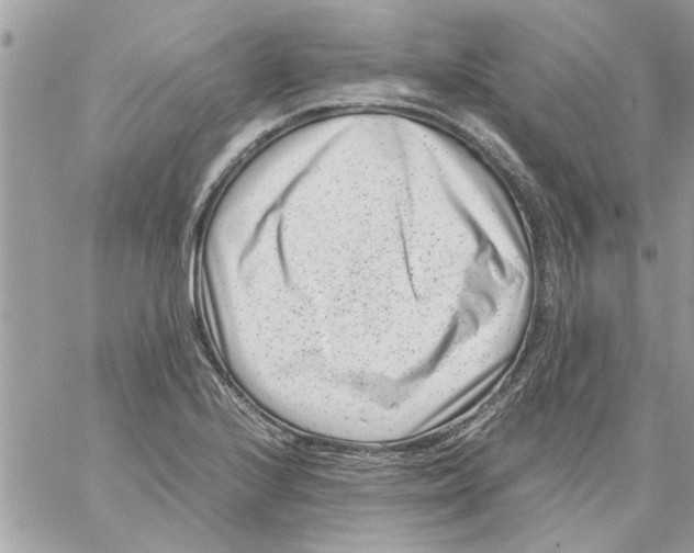 X0000057081224200510071837