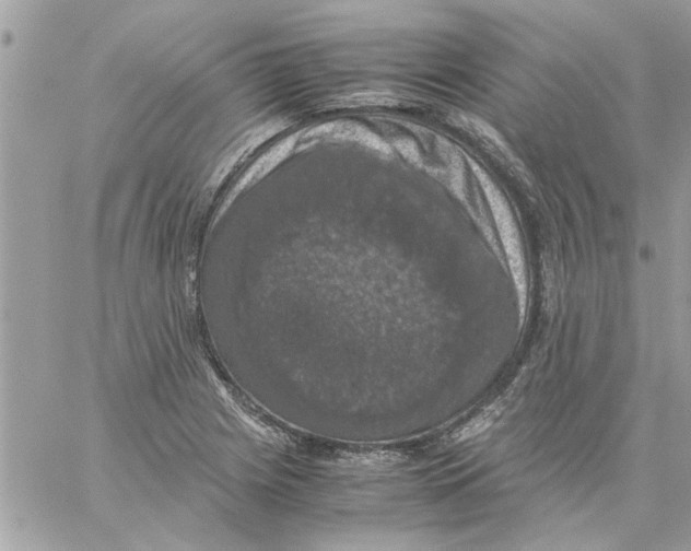 X0000057081225200510071837