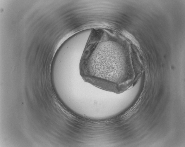 X0000057081226200510071837