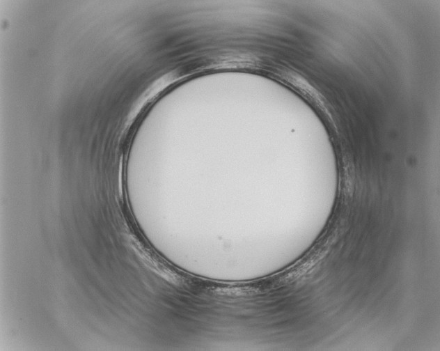 X0000057081227200510071837