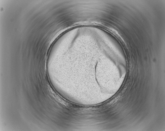 X0000057081228200510071837