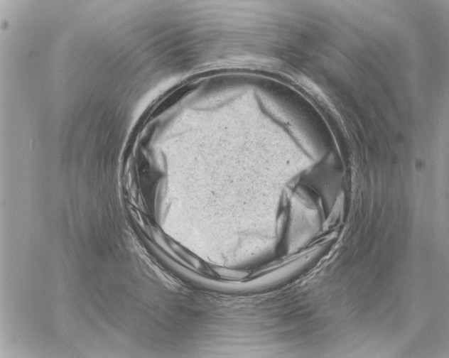 X0000057081230200510071837