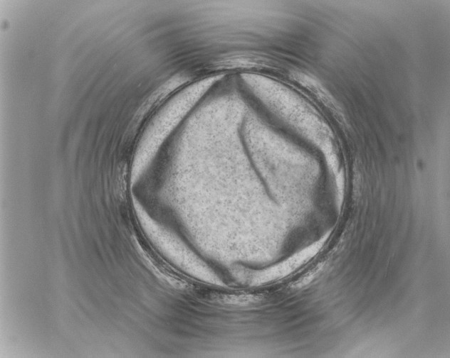 X0000057081233200510071837