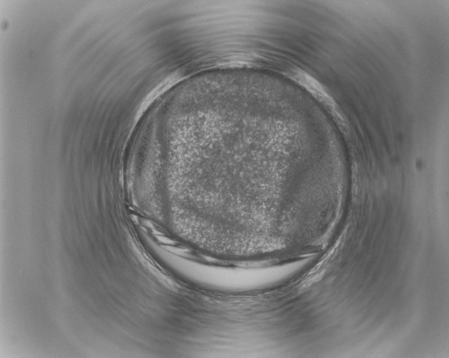 X0000057081234200510071837