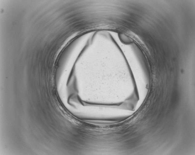 X0000057081236200510071837