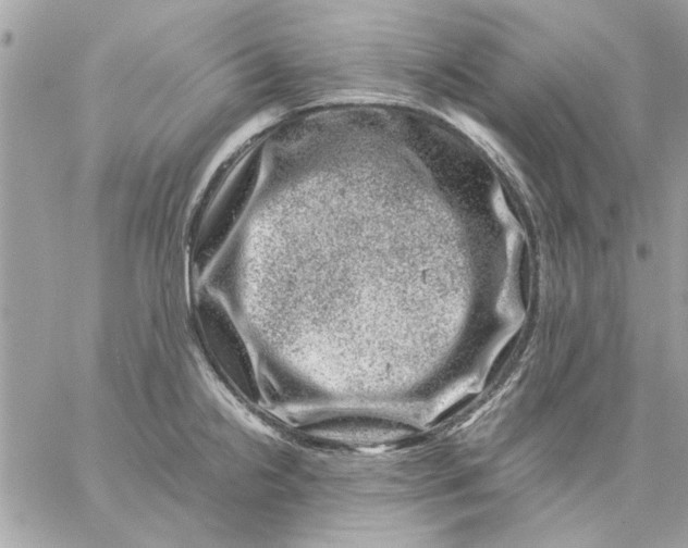 X0000057081238200510071837