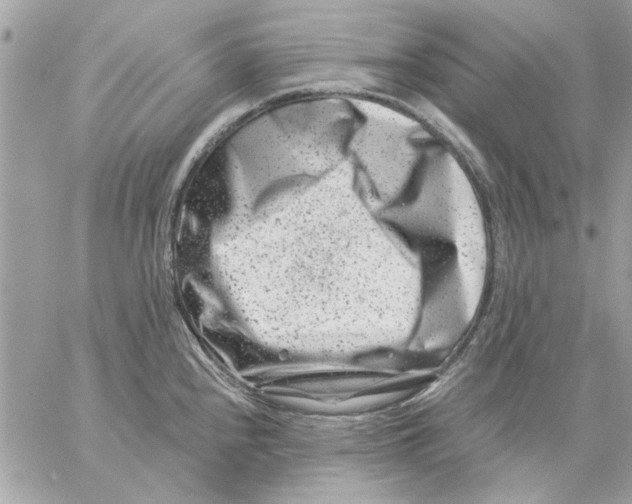 X0000057081240200510071837