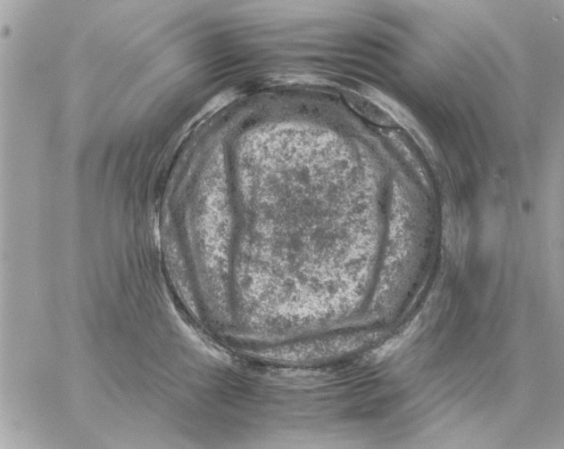 X0000057081241200510071837