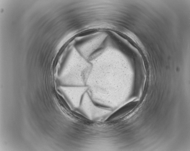 X0000057081242200510071837