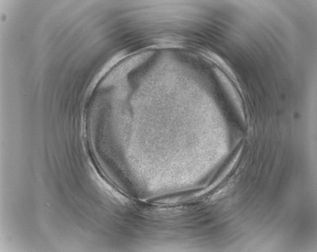 X0000057081243200510071837