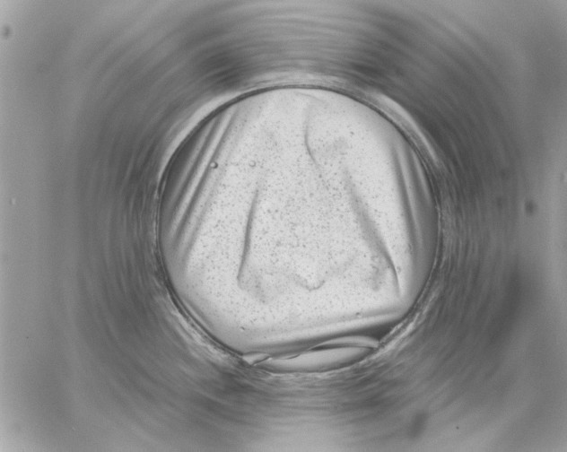 X0000057081244200510071837