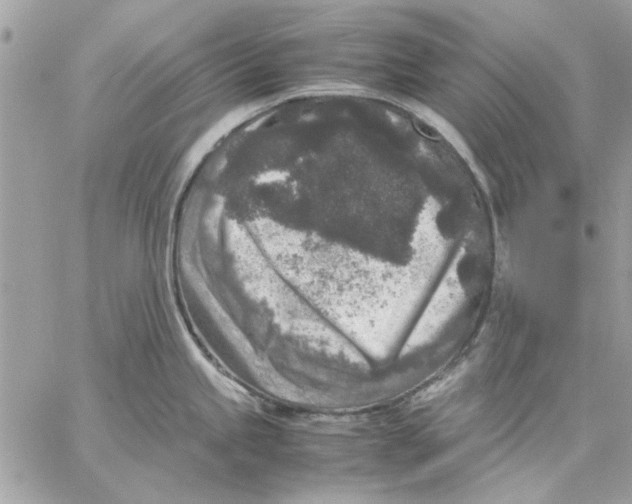 X0000057081245200510071837