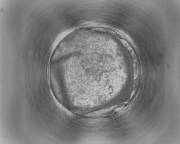 X0000057081247200510071837