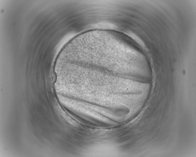 X0000057081248200510071837