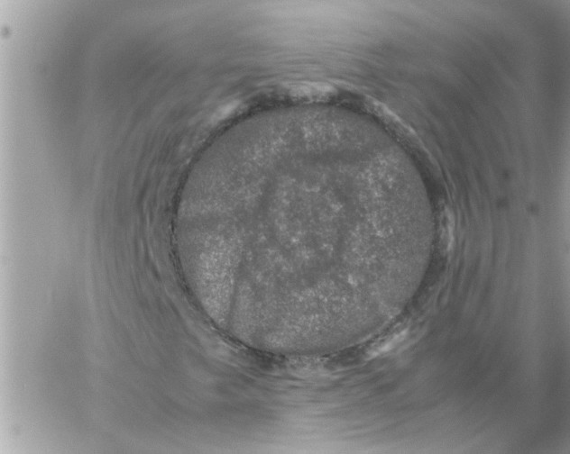 X0000057081249200510071836