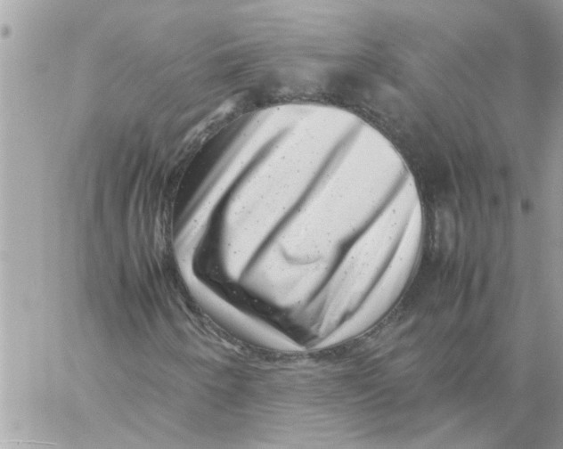 X0000057081250200510071836