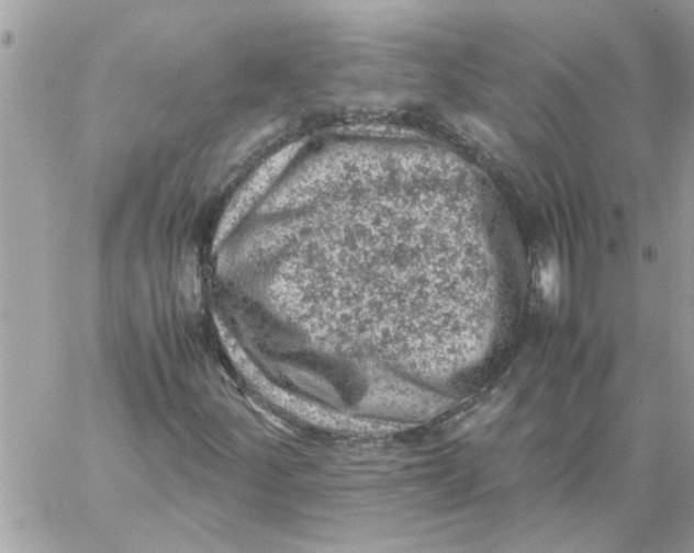 X0000057081252200510071836