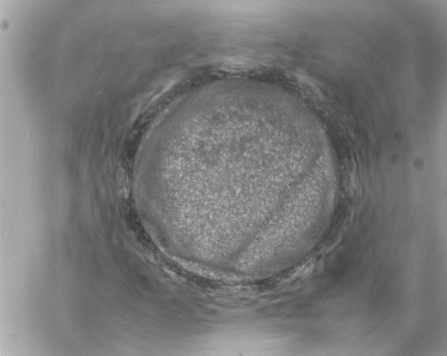 X0000057081253200510071836