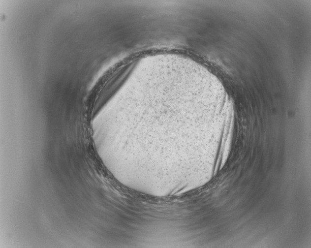 X0000057081256200510071836