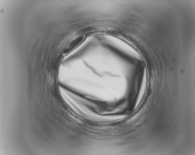 X0000057081257200510071836