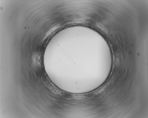 X0000057081258200510071836