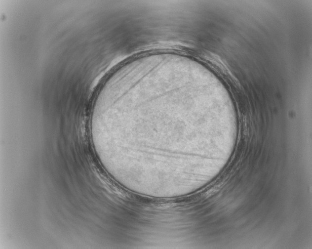 X0000057081260200510071836