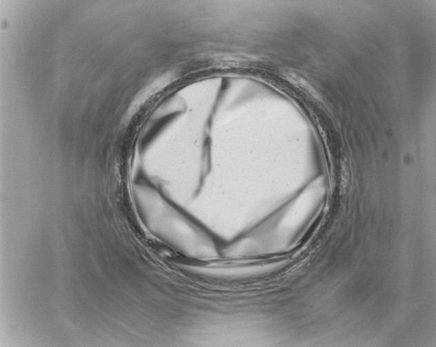 X0000057081261200510071836