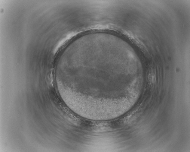 X0000057081262200510071836