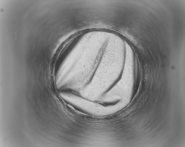 X0000057081264200510071836